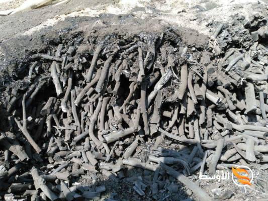 تصدير فحم البرتقال - تصدير فحم البرتقال -